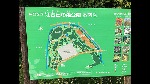 ファイル:江古田の森公園案内図(2016-05-25撮影).jpg