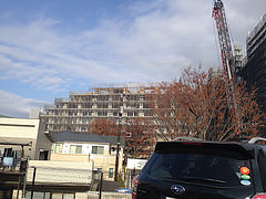 ファイル:20141221オハナ八王子 オークコート2.jpg