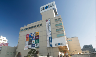 ファイル:西武八尾店 八尾161030.png