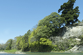 ファイル:広瀬川 広瀬町161011.jpg