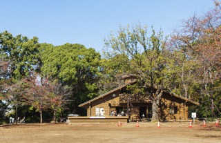 ファイル:綱島公園 綱島161011.jpg