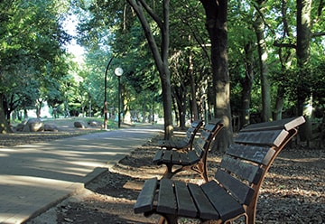 ファイル:芦花公園 桜上水161104.jpg