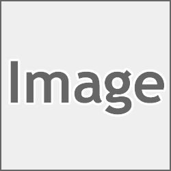 ファイル:Sample image - コピー.gif