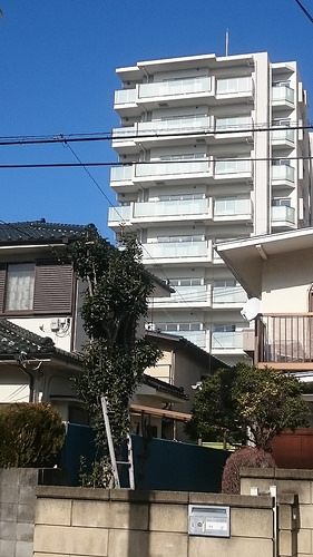 ファイル:日当り 真南から撮影(2016-01-26撮影)170215.jpg