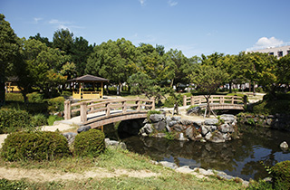 ファイル:下井田公園 守山161030.jpg