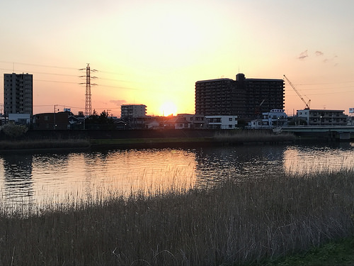 ファイル:ザ・グランリバーフォート高砂 マンション前からの風景.jpg