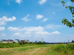 ファイル:鶴見川樽町公園 綱島161016.jpg