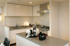 ファイル:サンクタス六甲VIEWSキッチン(E type).jpg