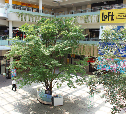 ファイル:丸亀町グリーン 栗林160930.jpg