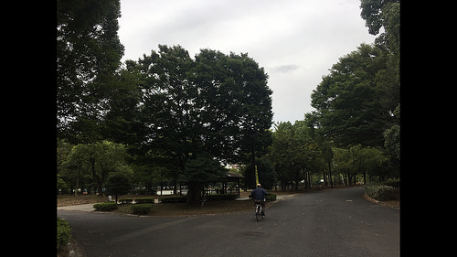 ファイル:プラウド清澄白河ガーデン 木場公園.jpg