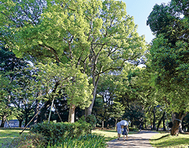 ファイル:上野恩賜公園 台東区161024.png