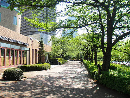 ファイル:隅田川沿いの遊歩道 (2015-04-27撮影).jpg