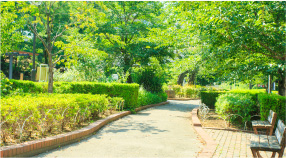 ファイル:区立蛇崩川緑道 世田谷161028.jpg