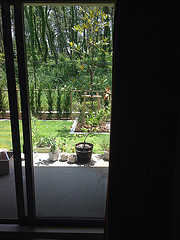 ファイル:1F南側 庭(2014年5月31日撮影) .jpg