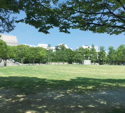 ファイル:中央公園 栗林160930.jpg