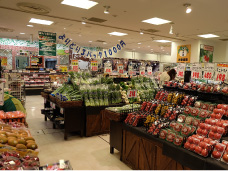 ファイル:富士ガーデン 八王子東急スクエア店160928.jpg