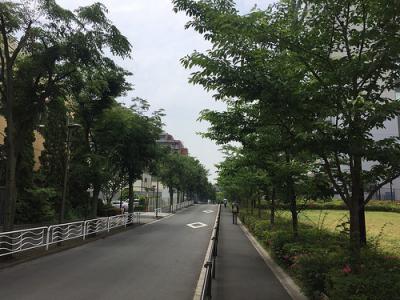 ファイル:マンション前の道路(2016-05-29撮影).jpg