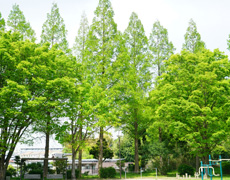 ファイル:美山台公園 上麻生161104.jpg