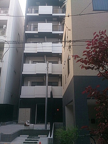 ファイル:物件 南側(2016-05-10撮影)170111.jpg