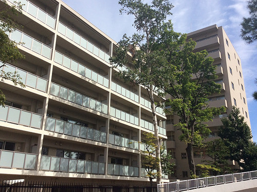 ファイル:施工時 南棟側(2015-09-14 撮影)170219.jpg