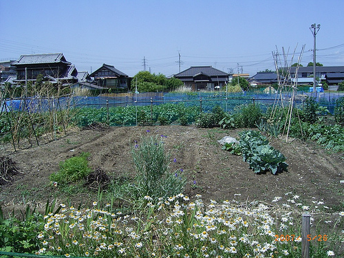 ファイル:シーズガーデン浜野 菜園.jpg