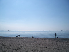 ファイル:稲毛海浜公園(2007年11月4日撮影).jpg