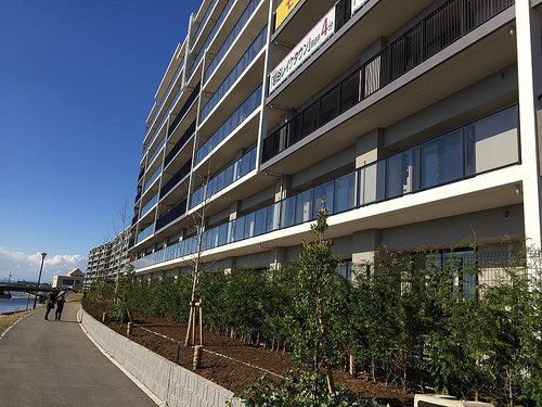 ファイル:現地状況 周りの植林も始まりいい感じです(2014-12-13撮影)170421.jpg