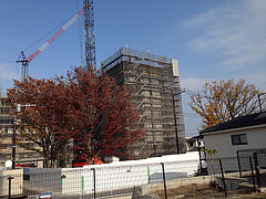 ファイル:20141124オハナ八王子 オークコート.jpg