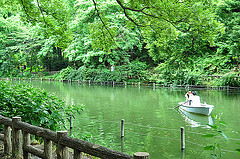 ファイル:20110718吉祥寺井の頭公園.jpg