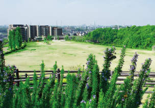 ファイル:彩都西公園 彩都161027.png