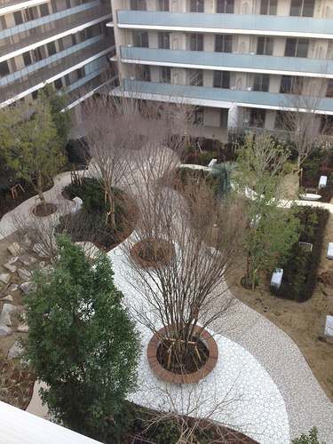ファイル:施工時 上から見た中庭(2015-02-18撮影)161224.jpg