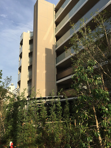 ファイル:20160703パークホームズ板橋蓮根 一番街・二番街3.jpg