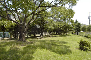 ファイル:垂水アーバンコンフォート リアヒルズ上高丸公園(徒歩1分・約80m).jpg