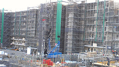 ファイル:20131228オハナ ふじみ野上野台ブロッサム3.jpg