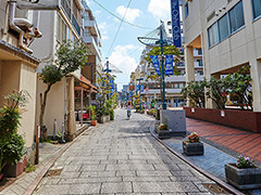 ファイル:綱島桃栄会 綱島161016.jpg