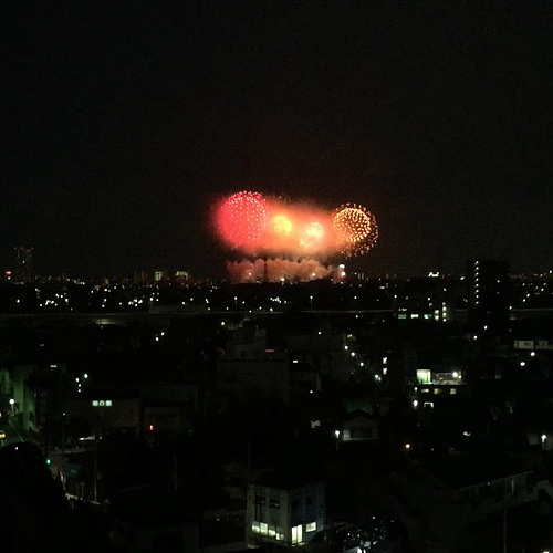 ファイル:レーベン新小岩innovia 市川花火2.jpg