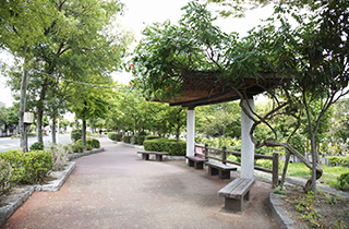 ファイル:守山ふれあい公園 守山161030.jpg