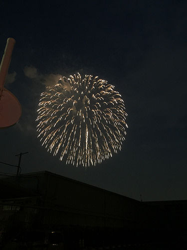 ファイル:デュオヒルズ戸田公園リヴァリーゼ 戸田花火.jpg