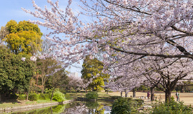 ファイル:北の丸公園 九段161006.jpg