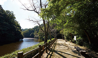 ファイル:散在ガ池森林公園 鎌倉161013.jpg