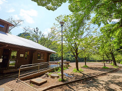 ファイル:綱島公園 綱島161016.jpg