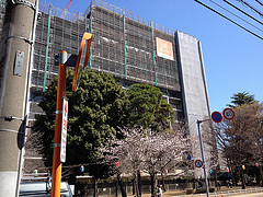 ファイル:2014331オハナ ふじみ野上野台ブロッサム2.jpg