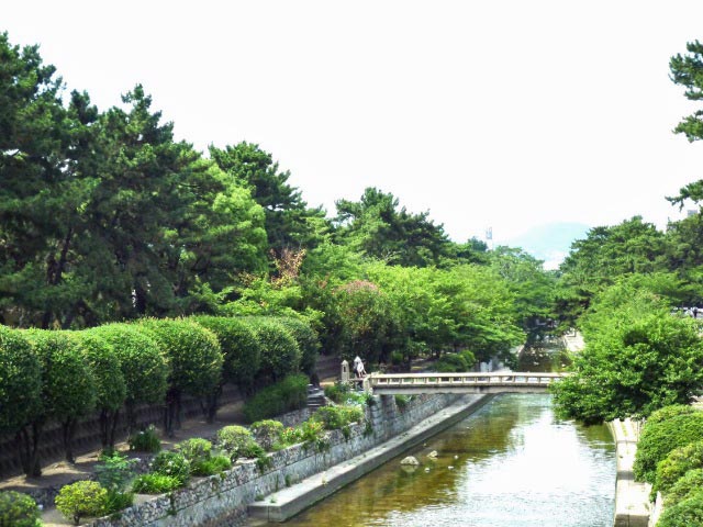 ファイル:グランオアシス夙川 香櫨園夙川オアシスロード.jpg