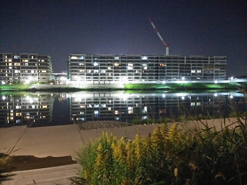 ファイル:現地状況 調節池南側A地区から(2014-10-25撮影)170420.jpg