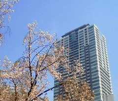 ファイル:赤坂タワーレジデンス外観 2(2009年4月8日撮影).jpg