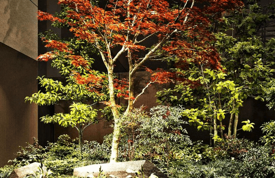 ファイル:ザ・パークハウス 丸の内三丁目 中庭完成予想図.png