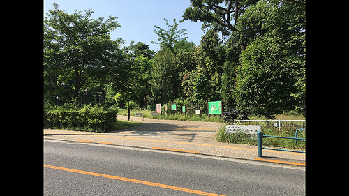 ファイル:江古田の森公園(2016-05-25撮影).jpg