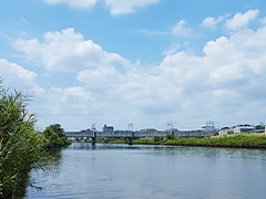 ファイル:鶴見川 綱島161016.jpg