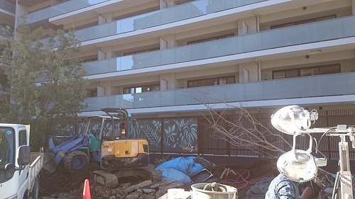 ファイル:現地状況 ボタニカル柄の壁(2016-12-25 撮影)17042202.jpg