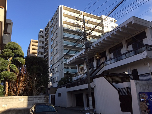 ファイル:日当り 午後3時頃(2016-01-26撮影)170215.jpg